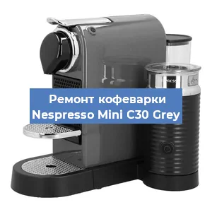Чистка кофемашины Nespresso Mini C30 Grey от кофейных масел в Новосибирске